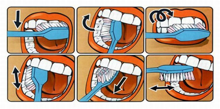 When to teach a child to brush his teeth and how to do it correctly?