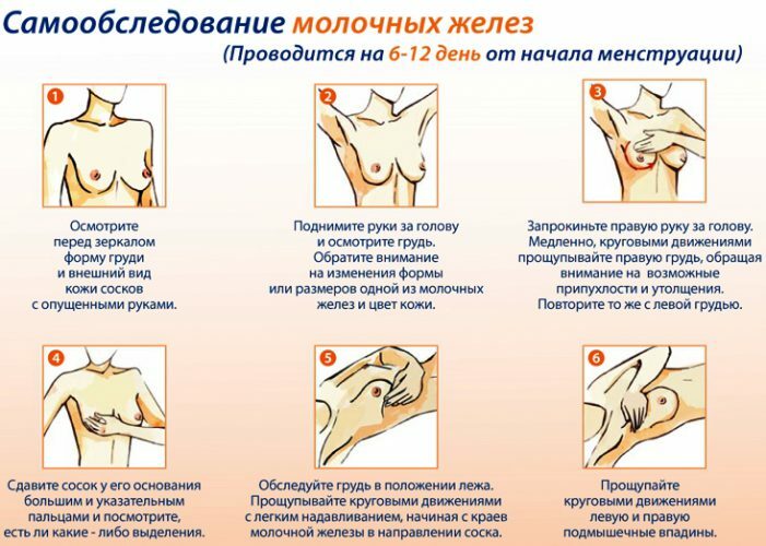 A seal in the breast was found before the menstrual period: is it worth worrying?