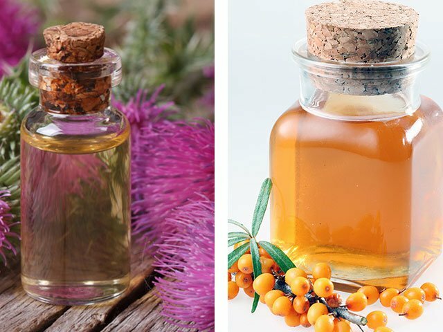 Minyak laut buckthorn untuk aplikasi rambut di rumah