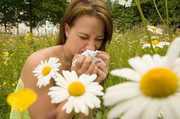 allergies as a step of laryngitis disease