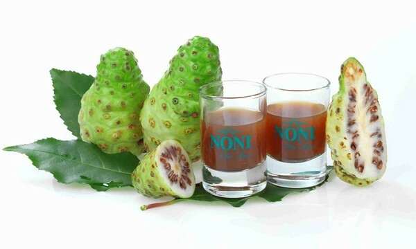 Suco de Noni: uma bebida exótica para boa saúde e pele bonita