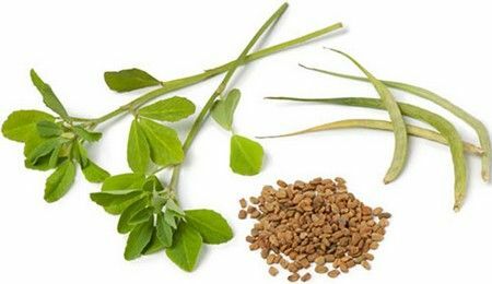 Fenugreek mengungkapkan rahasia keindahan dari Timur