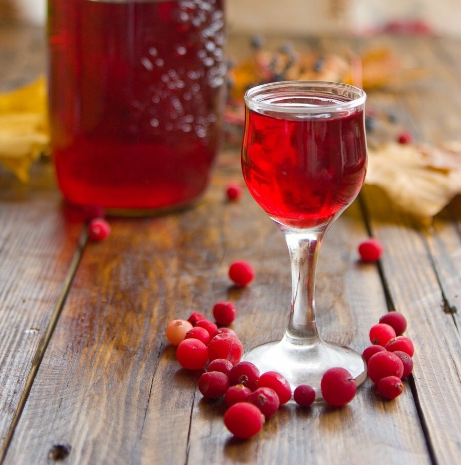 Domestic wine from cowberries, liqueur, tincture on vodka, alcohol, cognac: simple recipes