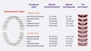 When a baby has a toothache - it is necessary to know