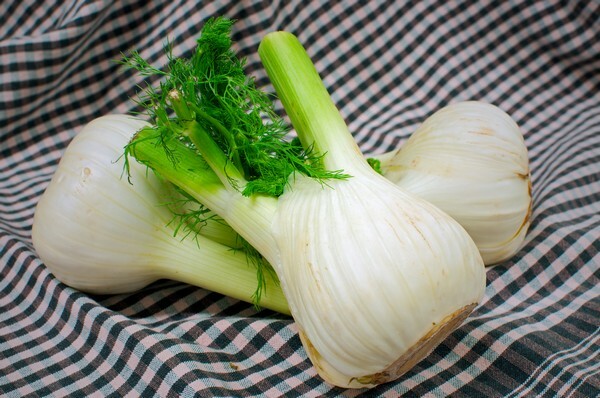 Fennel: benefício e dano da planta medicinal