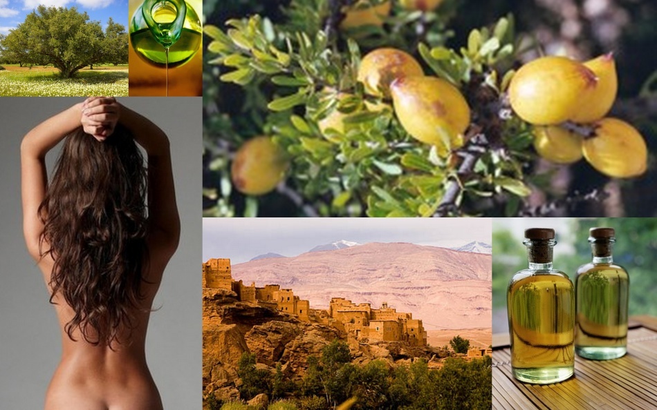 Argan oil for hair how to use? Argan oil for hair: useful properties, application