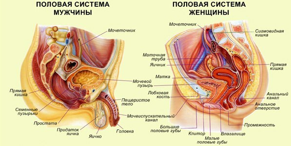 Miesięcznie dla mężczyzn 1