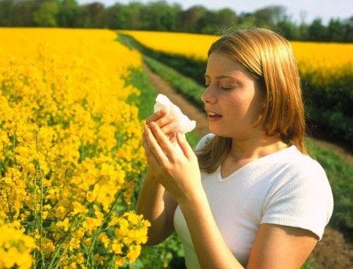 behandeling van allergische rhinitis bij zwangere vrouwen