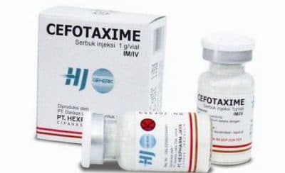 cefotaxime