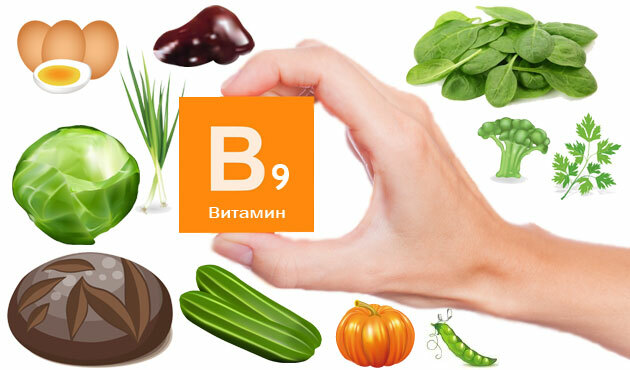 Quais os alimentos que contêm vitamina B?