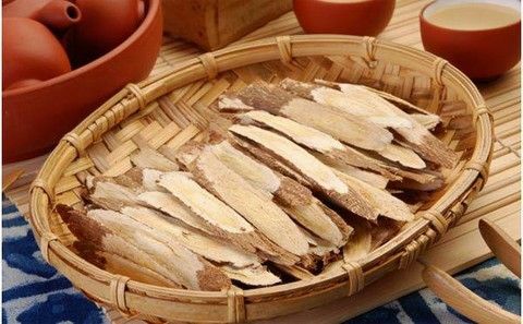 Astragalus - dukun emas legendaris