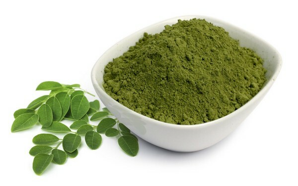 Moringa pohon ajaib dan kekuatan alaminya