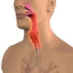 than to treat acute pharyngitis in adults