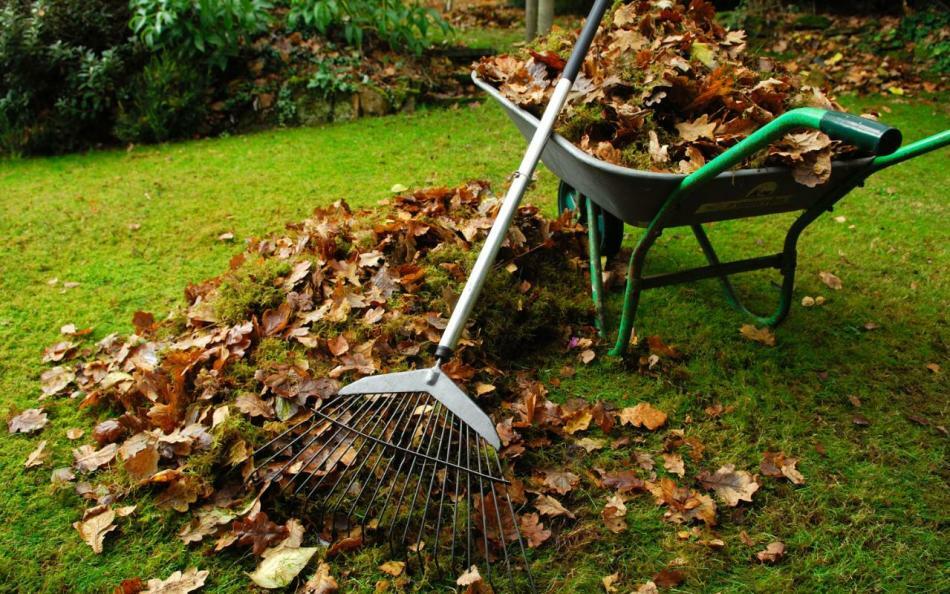 O calendário de semeadura lunar do jardineiro e jardineiro dos Urais para 2017.Em que dias é melhor plantar mudas em 2017 nos Urais pelo calendário lunar: mesa