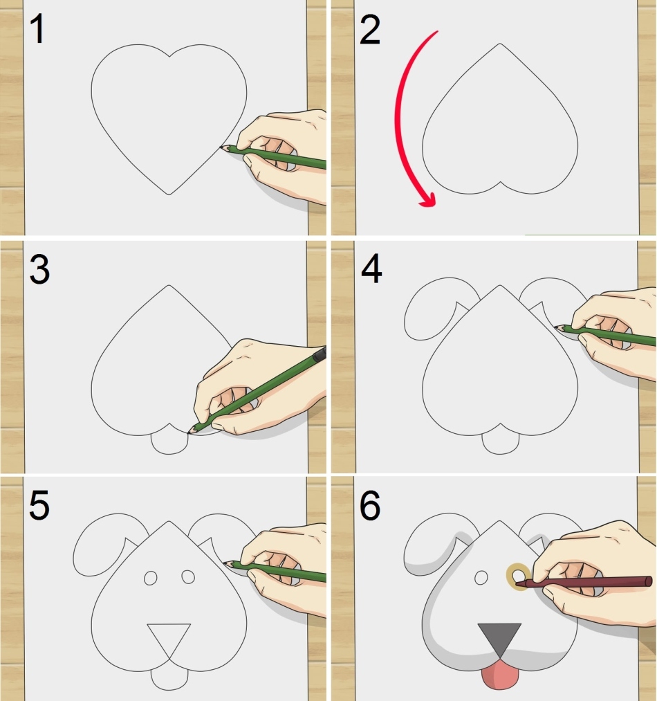 Como desenhar um cachorro, cachorro? Desenhos em lápis simples em estágios para iniciantes