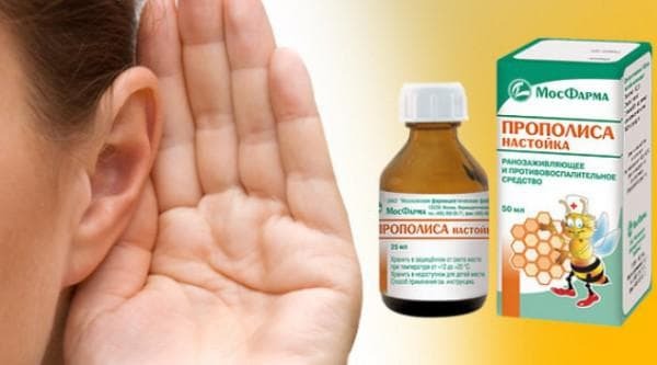 propolis terhadap gangguan pendengaran