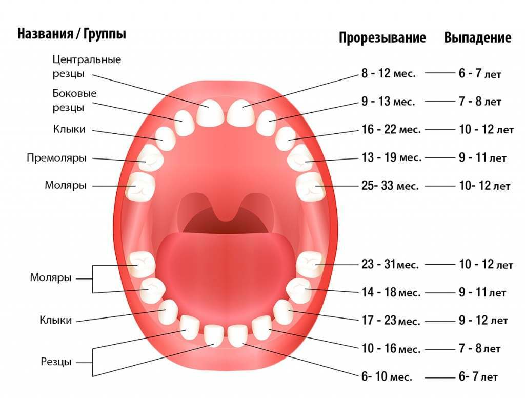 As crianças nascem com os dentes: as causas da erupção precoce e o que os médicos dizem sobre isso?