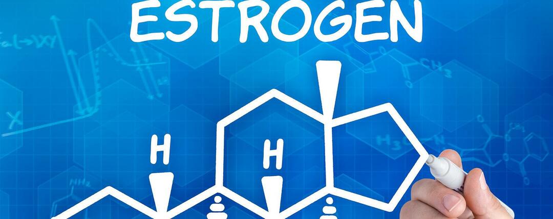 How to increase estrogen levels: is it possible to do without synthetic hormones