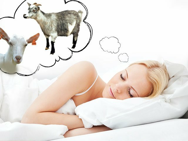 Betapa mimpi kambing dan anak-anak