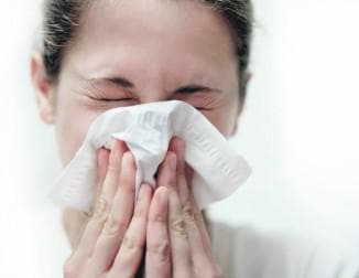 allergische rhinitis veroorzaakt