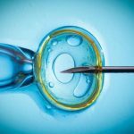 Bulanan setelah IVF: mengapa dan apa yang harus dilakukan?